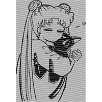 Japanese anime-JP 1108